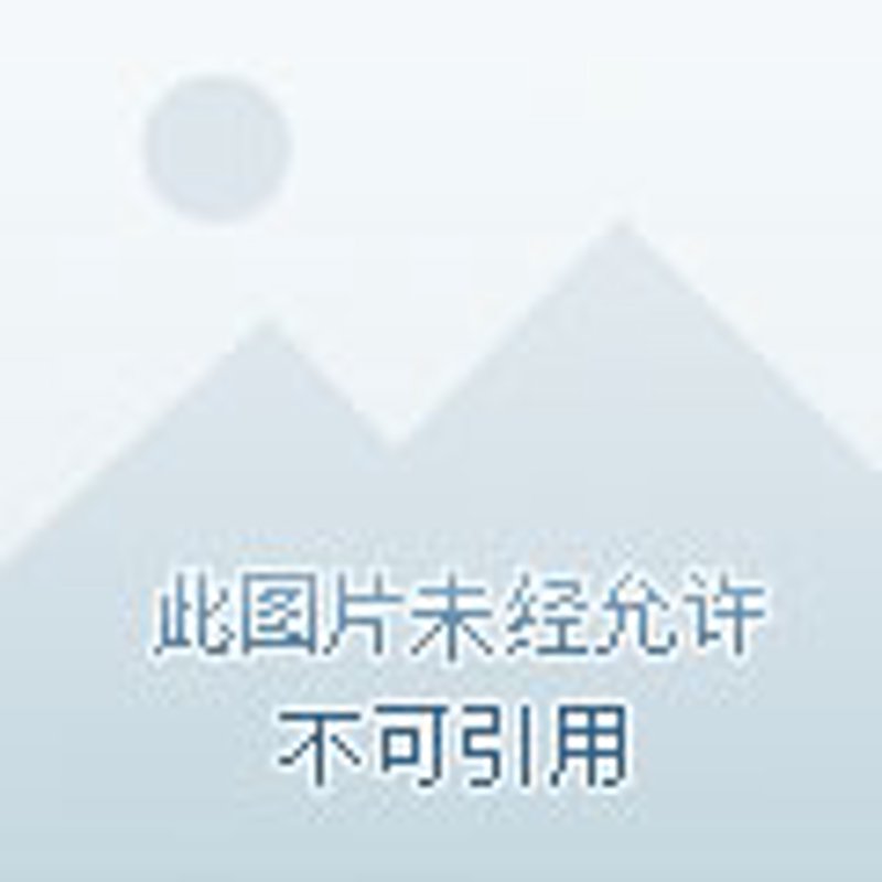 在数字化时代，药品零售业正经历着前所未有的变革。